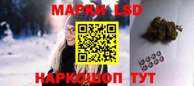 гашик Дубна