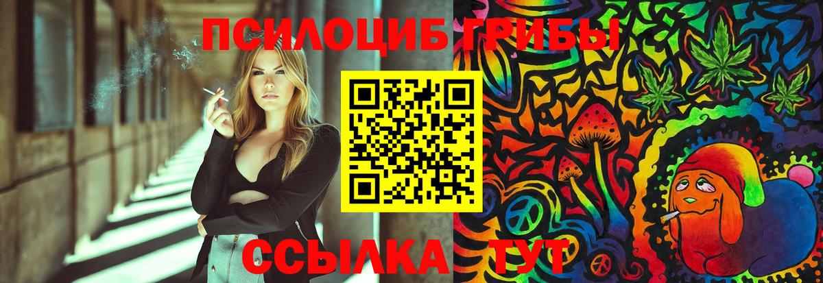 Малоярославец  Галлюциногенные грибы мухоморы  Вход с VPN 