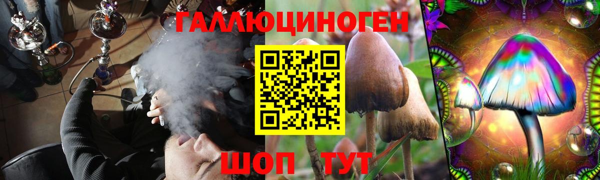 Галлюциногенные грибы мицелий Малоярославец